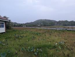 Guru kirpa nagar phase 2